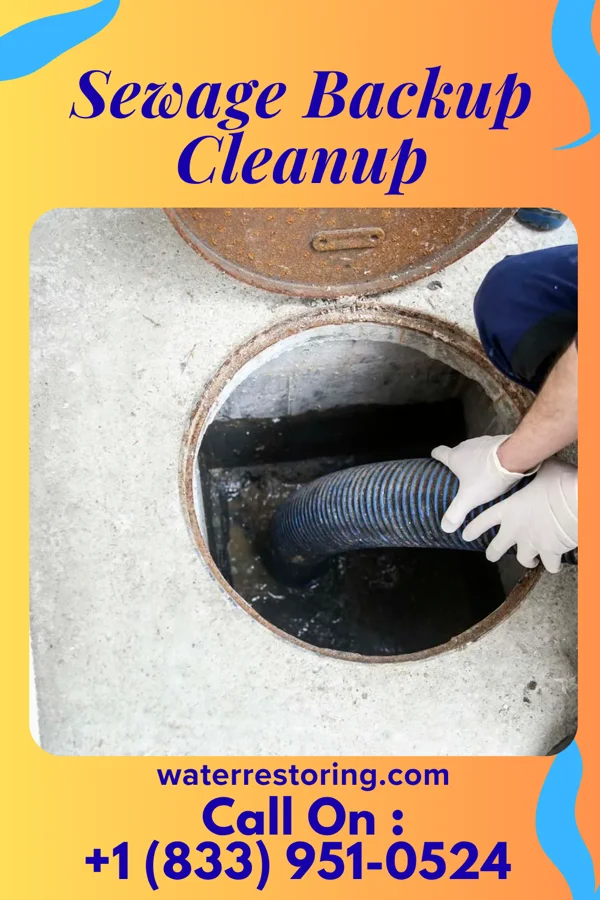 Sewage Backup Cleanup in Eminence, KY